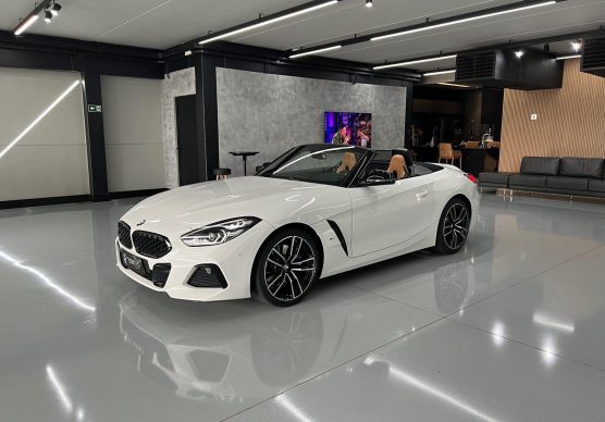 BMW Z4 2.0 - greenet.com.br